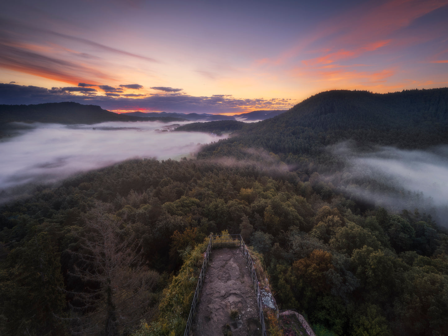 Workshop Pfälzerwald