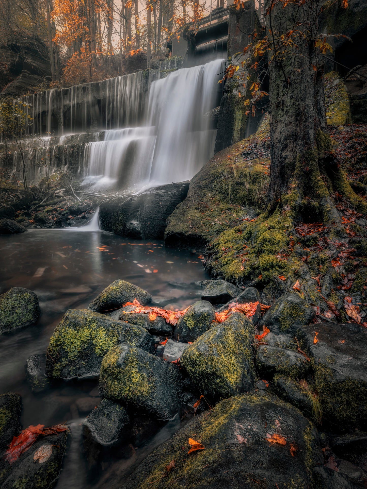 Workshop Elb­sand­stein­ge­bir­ge